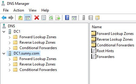 Active Directory DNS Terds